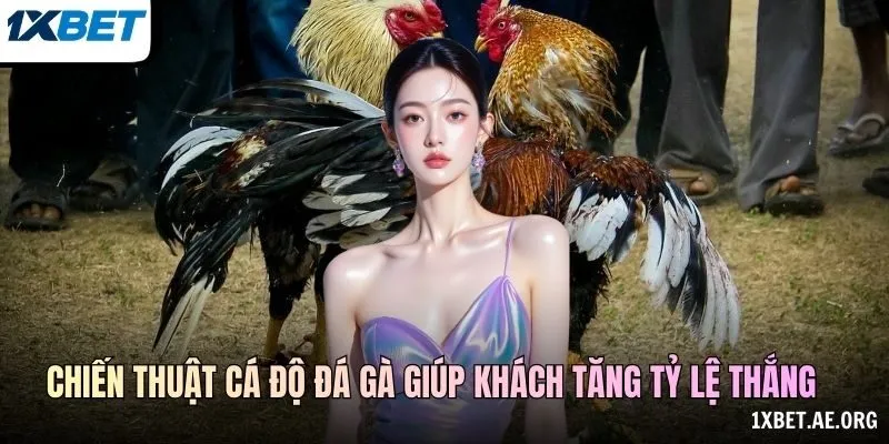 Bản Ghi Và Giới Hạn Nhận Định