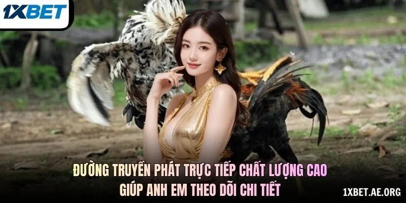 Nguồn Video Và Thông Tin Trận Trực Tuyến